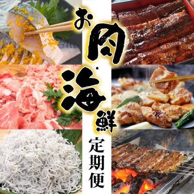 【お試し】お肉・海鮮　定期便(全6回お届け)  H028-085