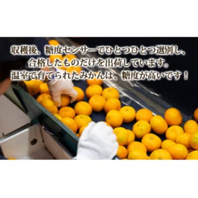 【2回定期便】山北温室みかん2.5kg Wku-0061