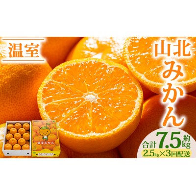 【3回定期便】山北温室みかん2.5kg Wku-0062