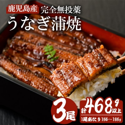 鹿児島産うなぎ蒲焼(無頭)156～185g×3尾(たれ+山椒付)