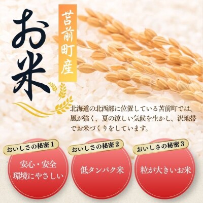 令和7年産 北海道とままえ産 ゆめぴりか 5kg【定期便 12か月】北海道産 rum32