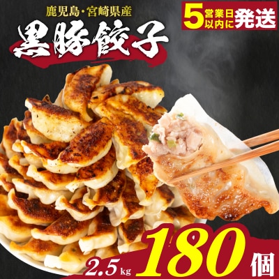 【スピード発送】 黒豚餃子 12粒×15パック(180粒) 冷凍 国産餃子 訳あり IB051