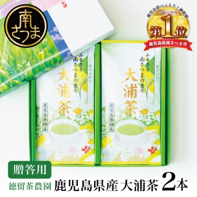 鹿児島県産緑茶 大浦茶 一番茶 2本セット(100g×2) [贈答用]