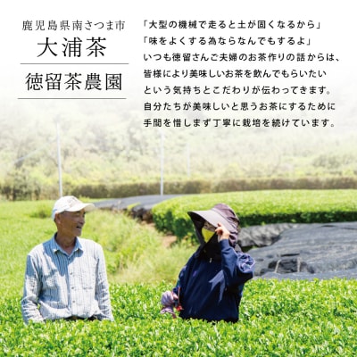 鹿児島県産緑茶 大浦茶 一番茶 2本セット(100g×2) [贈答用]