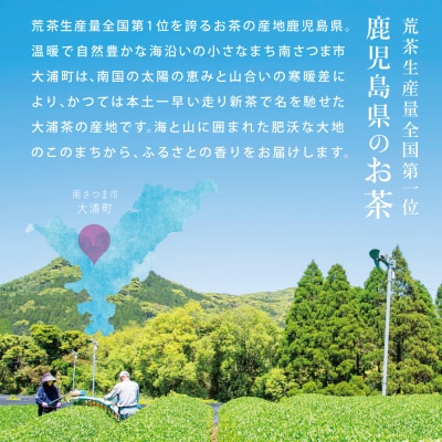 鹿児島県産緑茶 大浦茶 一番茶 2本セット(100g×2) [贈答用]