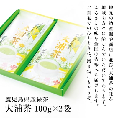 鹿児島県産緑茶 大浦茶 一番茶 2本セット(100g×2) [贈答用]