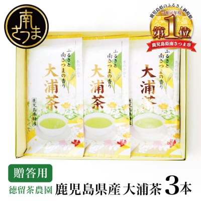 鹿児島県産緑茶 大浦茶 一番茶 3本セット(100g×3) [贈答用]
