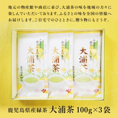 鹿児島県産緑茶 大浦茶 一番茶 3本セット(100g×3) [贈答用]