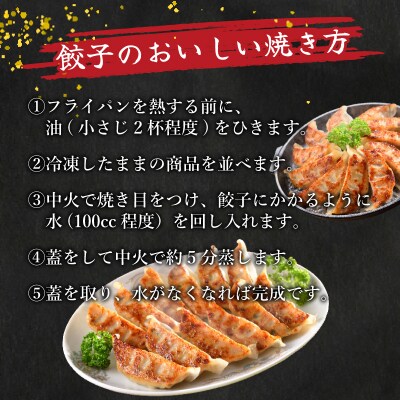 訳あり 黒豚餃子 6回 隔月 12個×15パック 冷凍 小分け たれ付き 大容量 IB011