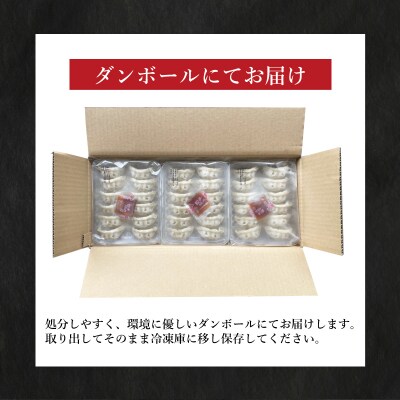訳あり 黒豚餃子 6回 隔月 12個×15パック 冷凍 小分け たれ付き 大容量 IB011