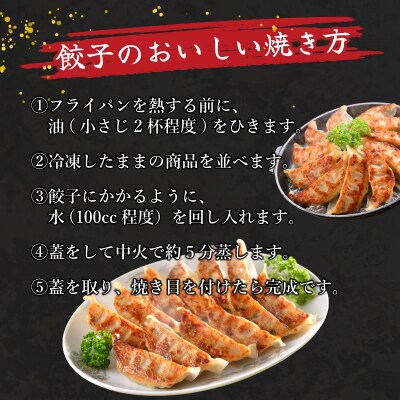 訳あり 国産肉の得々餃子 6回 隔月 定期便 240個 冷凍 小分け たれ付き IB028