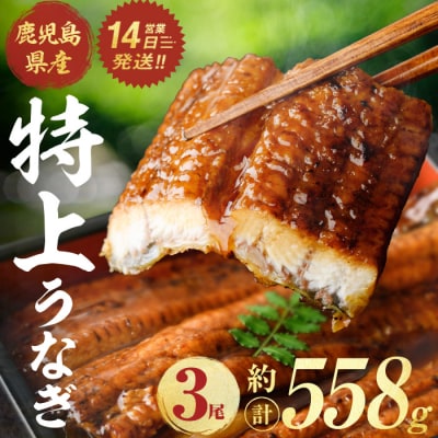 鹿児島県産うなぎ蒲焼(約186g×3尾)