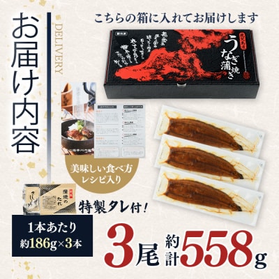 鹿児島県産うなぎ蒲焼(約186g×3尾)