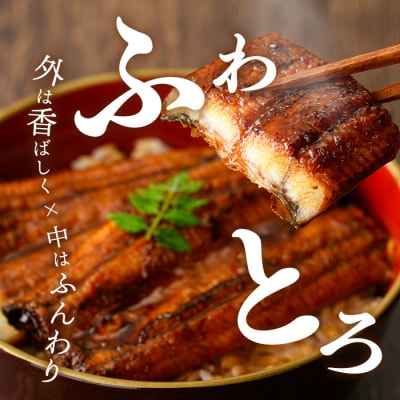 鹿児島県産うなぎ蒲焼(約186g×4尾)