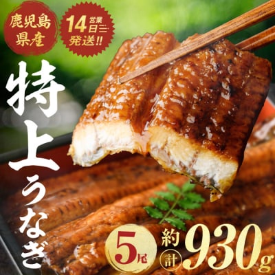 鹿児島県産うなぎ蒲焼(約186g×5尾)