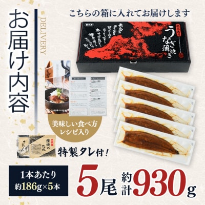 鹿児島県産うなぎ蒲焼(約186g×5尾)