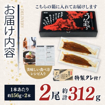 鹿児島県産うなぎ蒲焼(約156g×2尾)