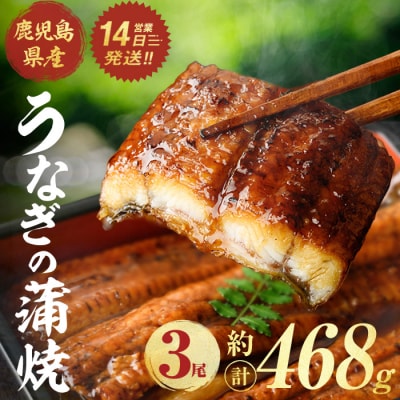 鹿児島県産うなぎ蒲焼(約156g×3尾)