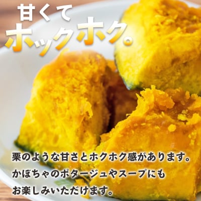 かぼちゃ 南瓜 2玉 約2.5～3kg 冬至といえば栗かぼちゃ 冬限定 sy-0008