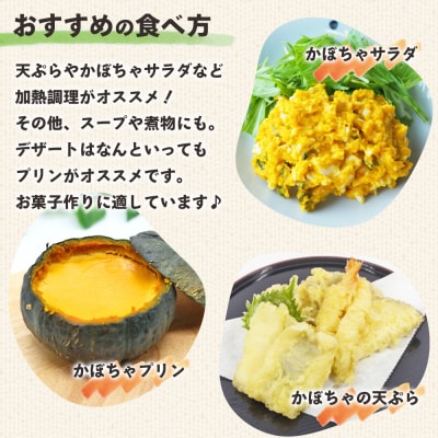 かぼちゃ 南瓜 2玉 約2.5～3kg 冬至といえば栗かぼちゃ 冬限定 sy-0008