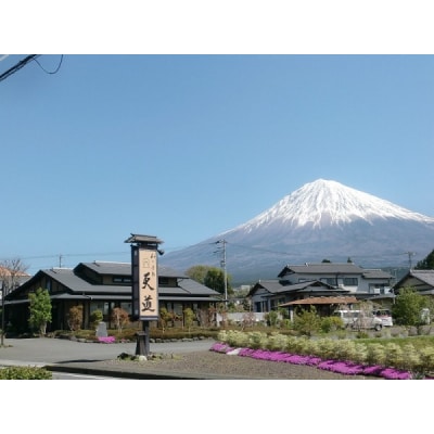 【骨取り・冷凍】魚の西京漬け 富士山の湧き水で育った富士山サーモン8切れ 骨ぬき 骨なし