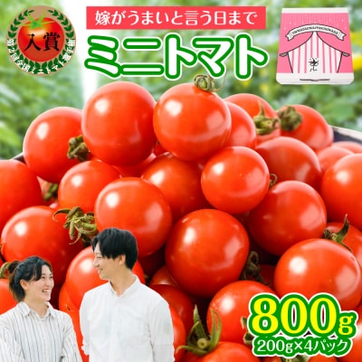 先行予約 嫁がうまいと言う日まで 800g 2026年12月上旬より発送_160-4269-E