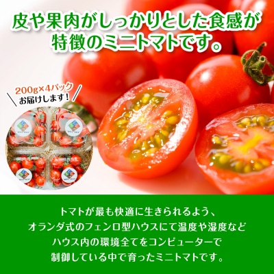 先行予約 嫁がうまいと言う日まで 800g 2026年12月上旬より発送_160-4269-E