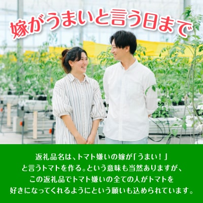 先行予約 嫁がうまいと言う日まで 800g 2026年12月上旬より発送_160-4269-E