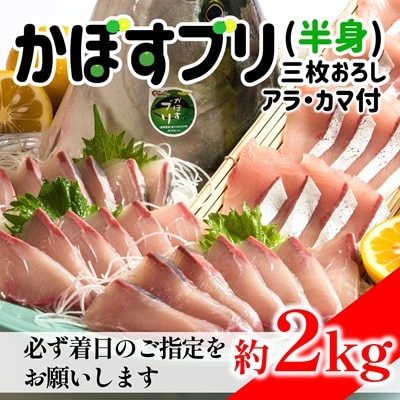 先行受付≪着日指定必須≫さっぱり美味い「うすき産(養殖)かぼすブリ」 (半身)