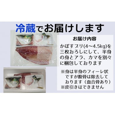 先行受付≪着日指定必須≫さっぱり美味い「うすき産(養殖)かぼすブリ」 (半身)