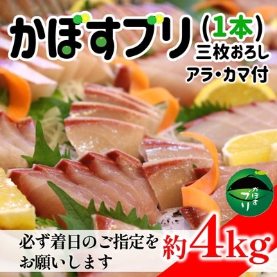 先行受付≪着日指定必須≫こんなブリ食べたことない!?「うすき産かぼすブリ」(1本)