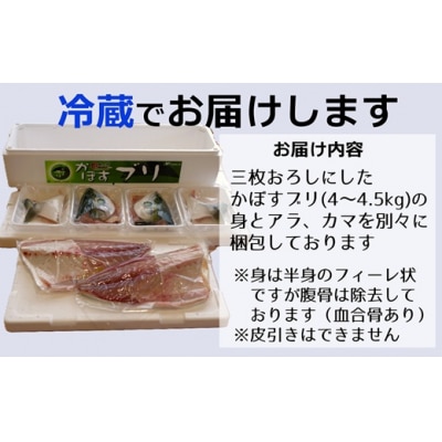 先行受付≪着日指定必須≫こんなブリ食べたことない!?「うすき産かぼすブリ」(1本)