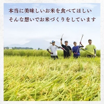 【先行予約】《 令和8年産 新米 》 こしひかり 精米 20kg 瑞穂 豊米 ゆたかまい
