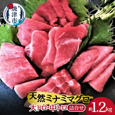 天然ミナミマグロ 大トロ 中トロ 詰合せ約1.2kg(a33-005)