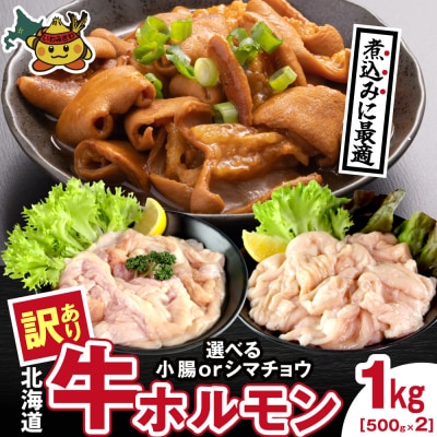 牛ホルモン (味付け無し/小腸) 1kg (500g×2パック)【a163-044】
