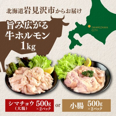 牛ホルモン (味付け無し/シマチョウ) 1kg (500g×2パック)【a163-045】