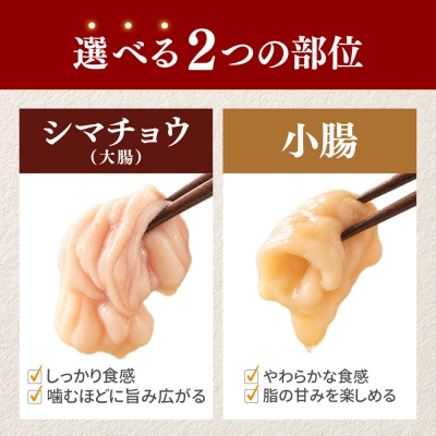 牛ホルモン (味付け無し/シマチョウ) 1kg (500g×2パック)【a163-045】