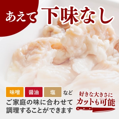 牛ホルモン (味付け無し/シマチョウ) 1kg (500g×2パック)【a163-045】