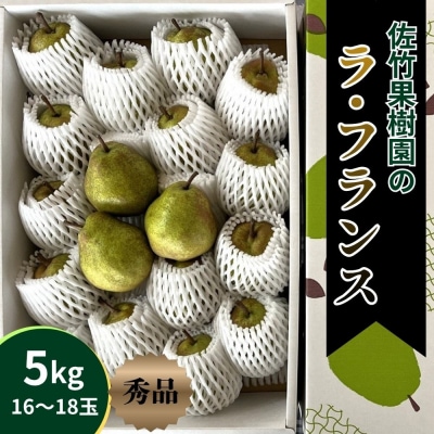 西洋梨(ラフランス)5kg　0041-2607