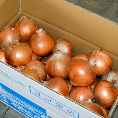 【完熟玉ねぎ予約】淡路島産たまねぎ　10kg 甘さに自信!!ほんまもん!!　◆R8.5月末～発送