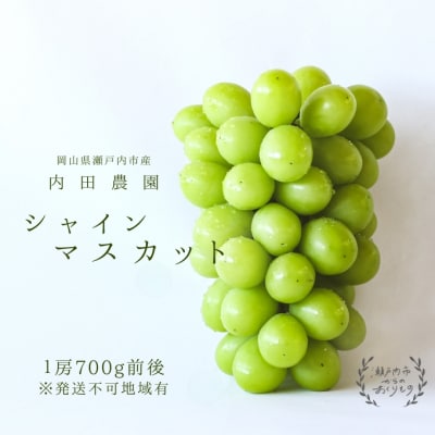 シャインマスカット1房(700g前後)内田農園 岡山県 瀬戸内市 邑久町産  [2174001]