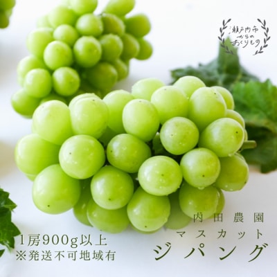 マスカットジパング 1房(900g以上)内田農園 岡山県 瀬戸内市 邑久町産  [2174003]