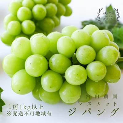 マスカットジパング 1房(1kg以上)内田農園 岡山県 瀬戸内市 邑久町産  [2174004]