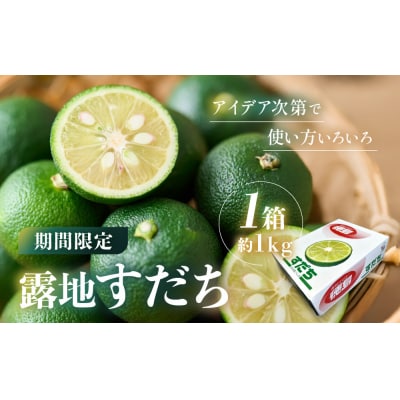 露地すだち 1箱(約1kg)【FL009】