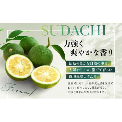 露地すだち 2箱(約2kg)【FL010】