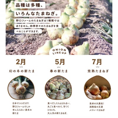 【全3回定期便】淡路島たまねぎ5kg　旬の贅沢セット!【2・5・7月発送】