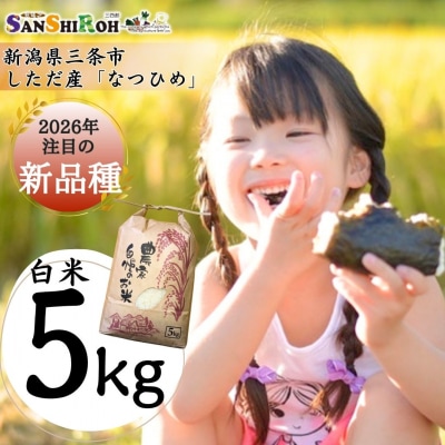 新潟県 三条市 しただ産「なつひめ」 5kg 白米 新米 令和8年 新品種 【010S897】