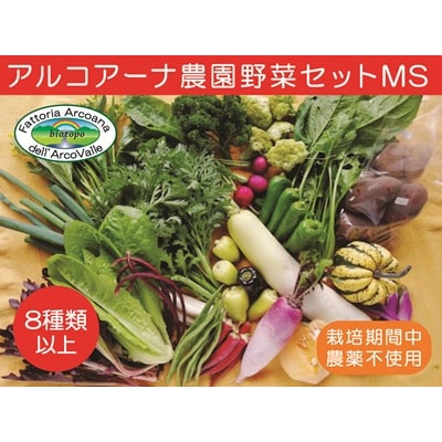【2026年7月～発送】アルコアーナ農園野菜セット　MSサイズ　0148-2617