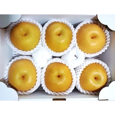 【樹上完熟】和梨「豊水」　3kg　4～9玉(直送便)　0148-2618