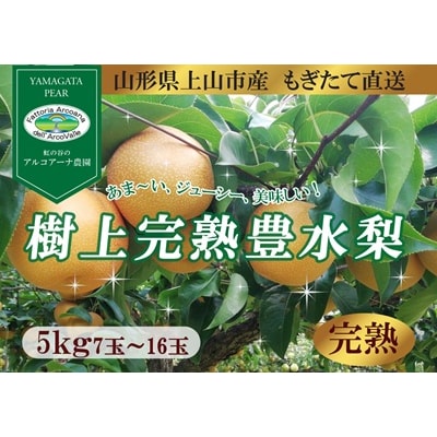 【樹上完熟】和梨「豊水」　5kg　7～16玉(直送便)　0148-2619